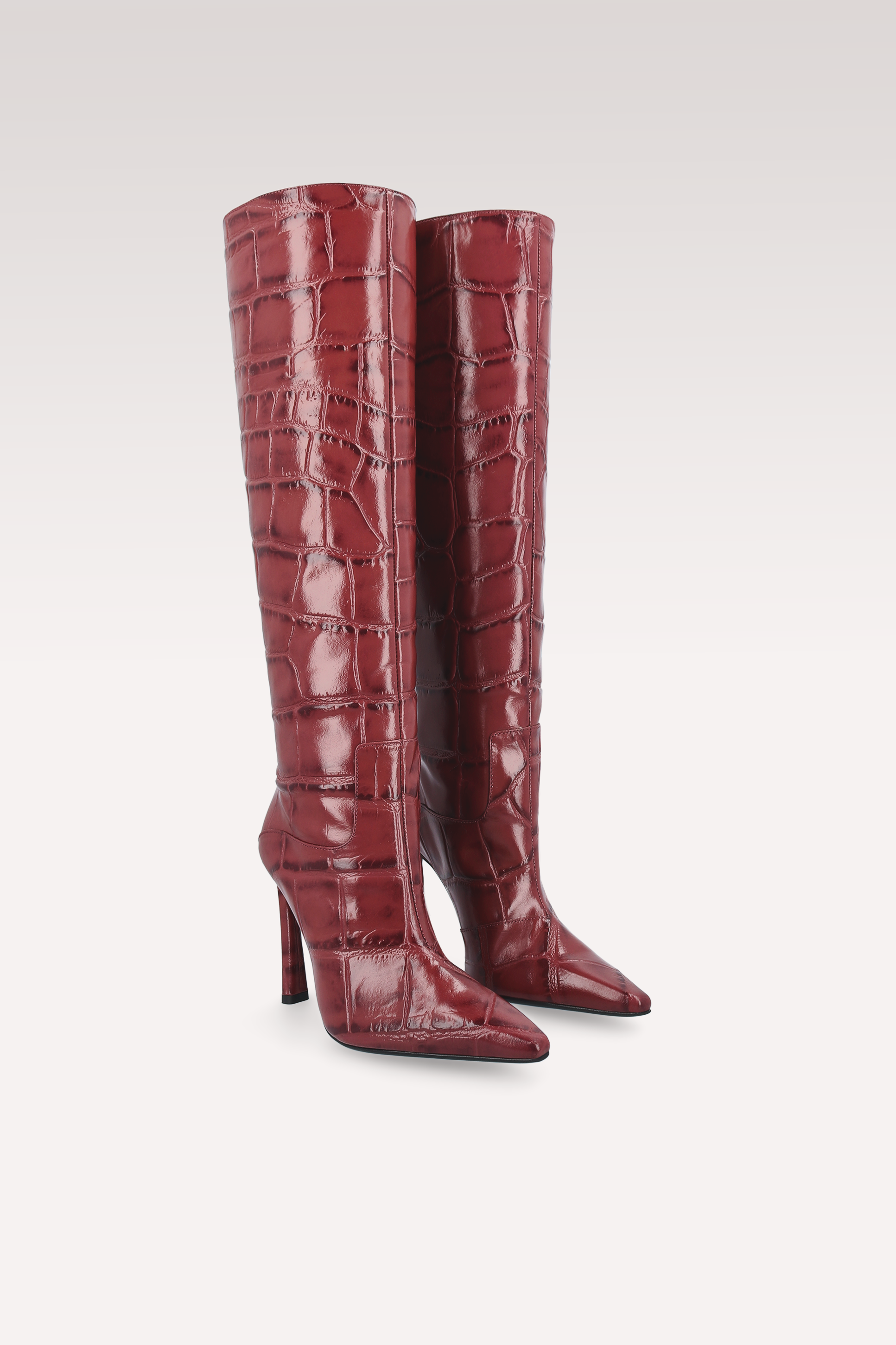 NATALIE CHERY COCCO EMBOSSED LEATHER BOOTS AND MILLY MINI BAG