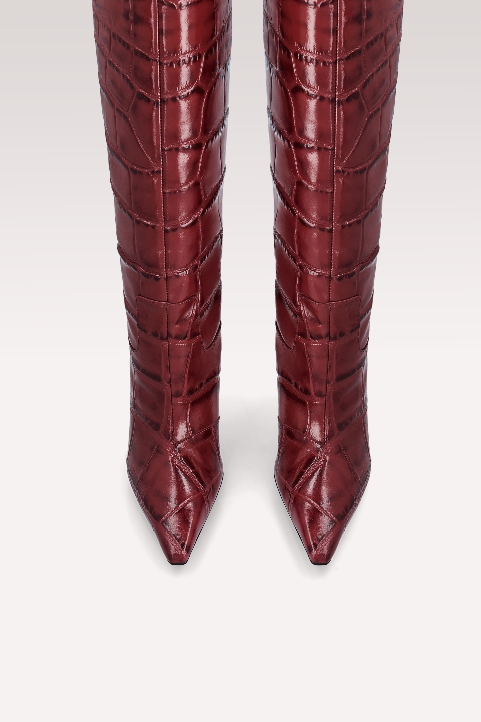 NATALIE CHERY COCCO EMBOSSED LEATHER BOOTS AND MILLY MINI BAG